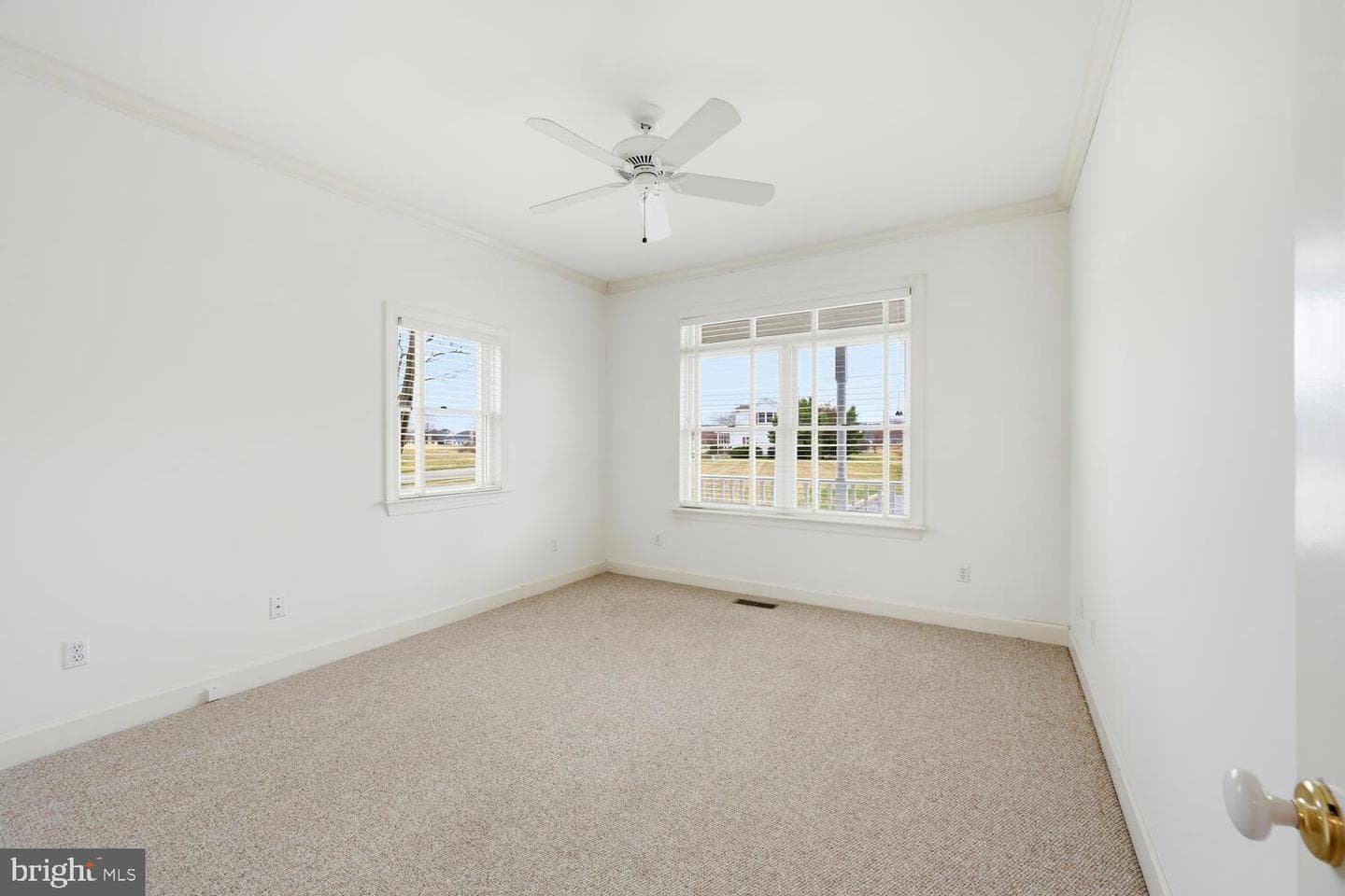 28524 Augusta Court photo 19