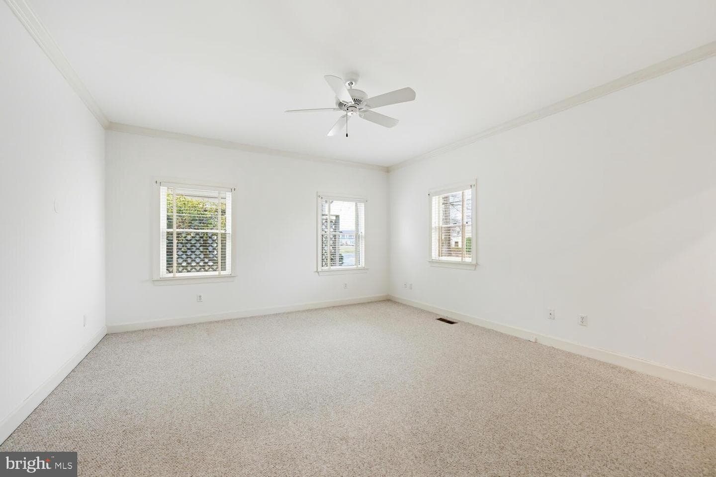 28524 Augusta Court photo 22