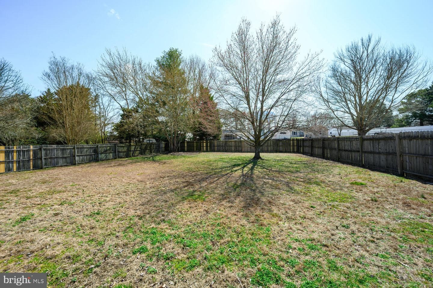 29400 Golton Drive photo 7