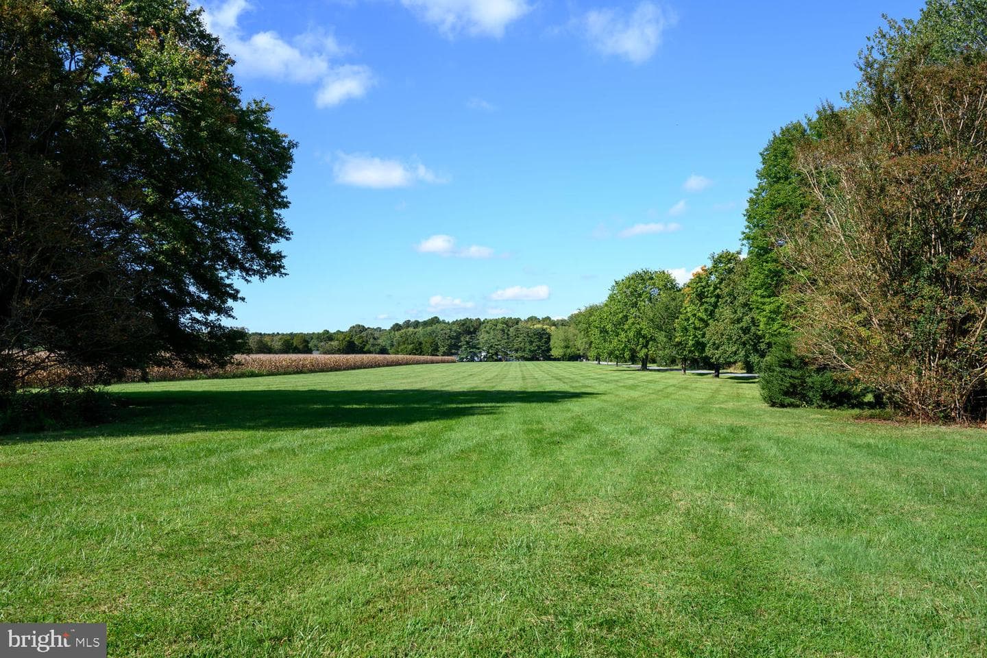 28923 Island Creek Road photo 12