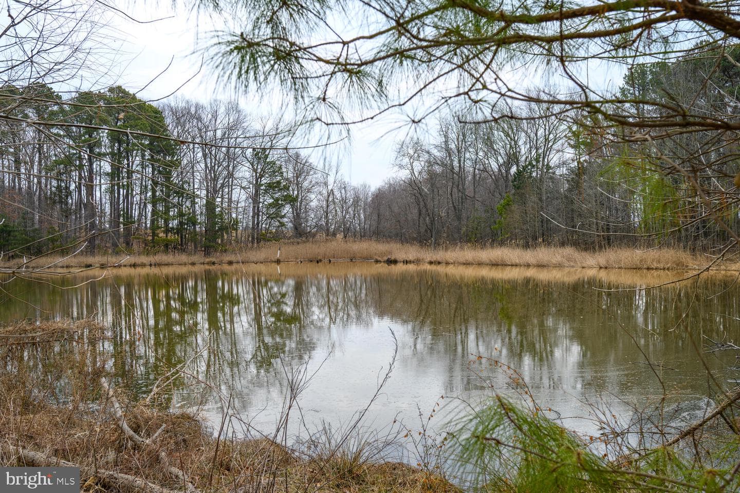 28923 Island Creek Road photo 79