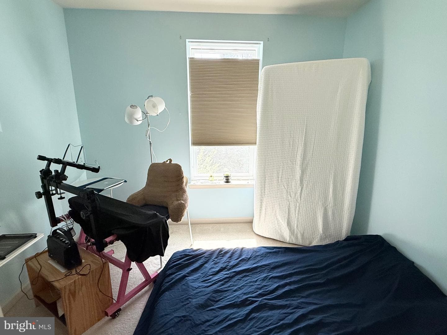 331 Hollis Circle photo 20