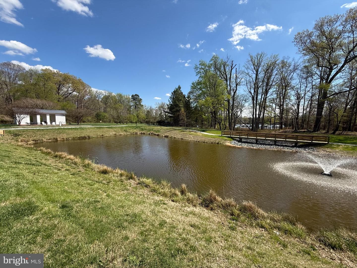8099 Fox Squirrel Way photo 74