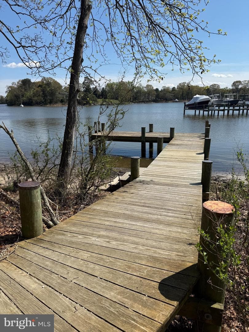 8099 Fox Squirrel Way photo 80
