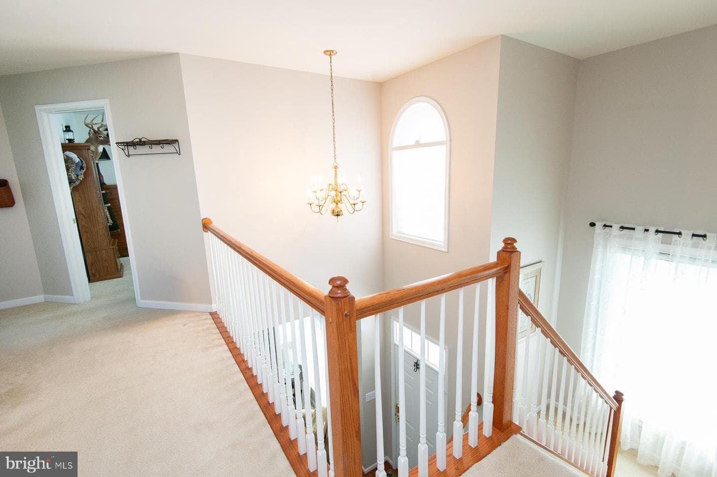 8711 Mulberry Drive photo 5