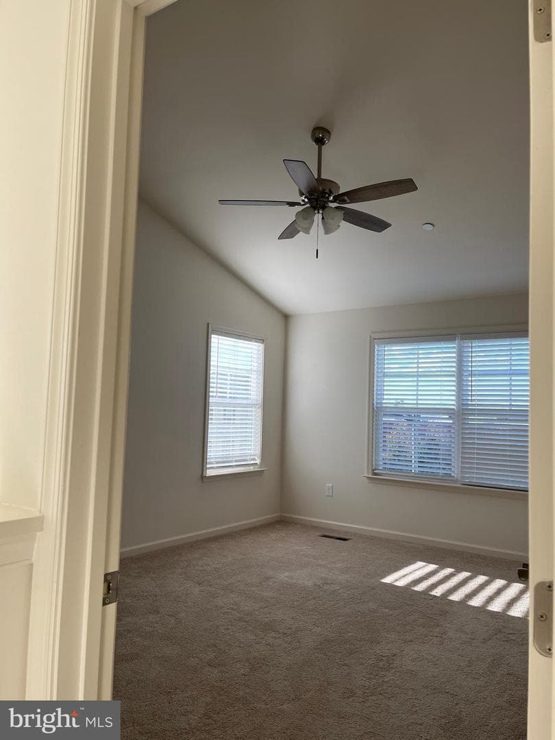 313 Ashby Commons Drive photo 18