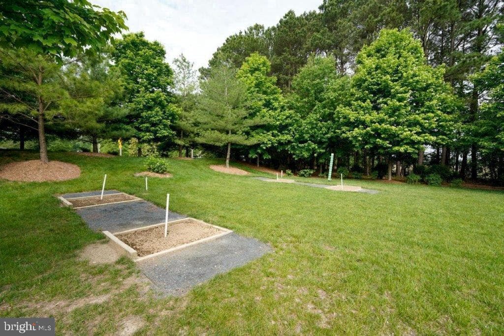 29868 Nicholas Way photo 37