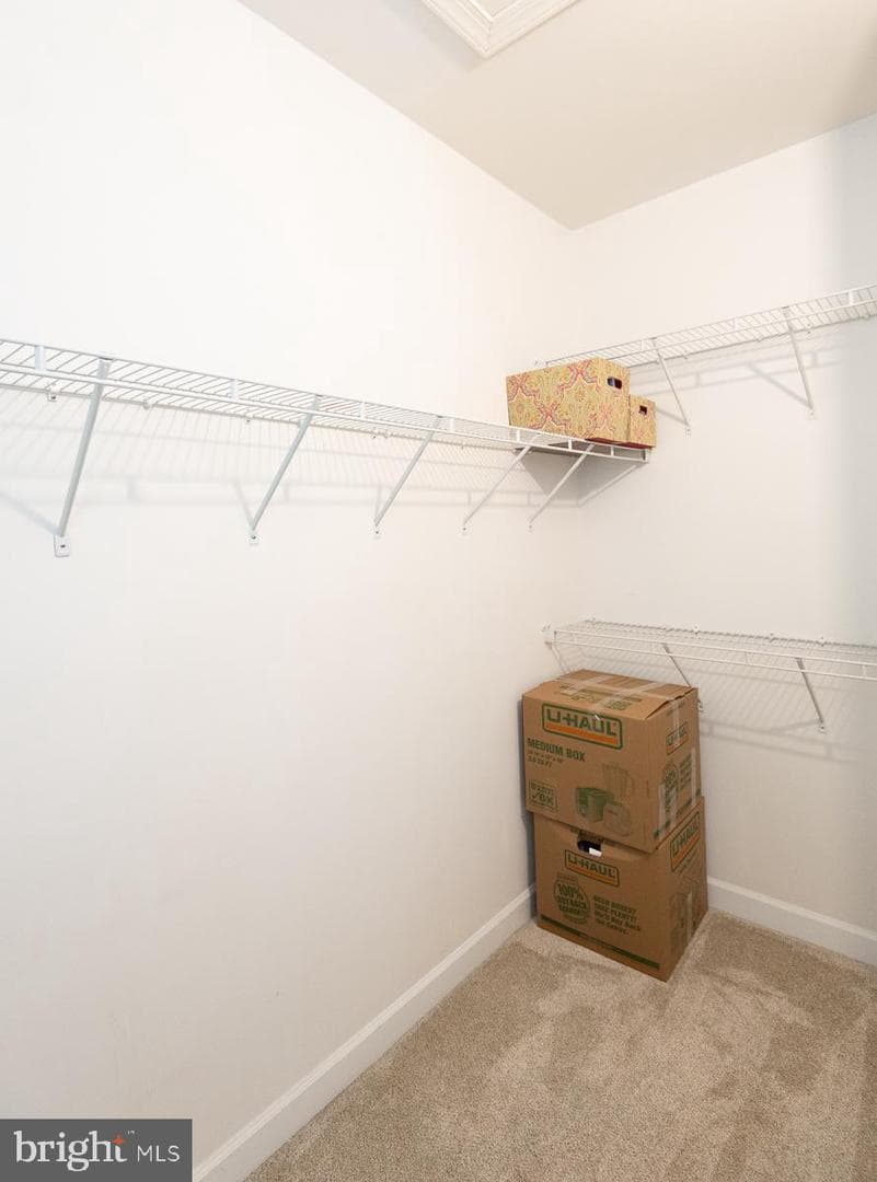 28288 Hemmersley Street photo 47