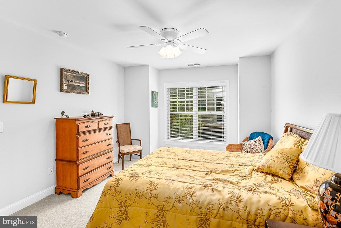 28816 Jasper Lane photo 23
