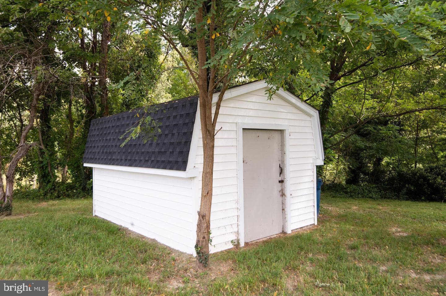 66 Johnson Street photo 34