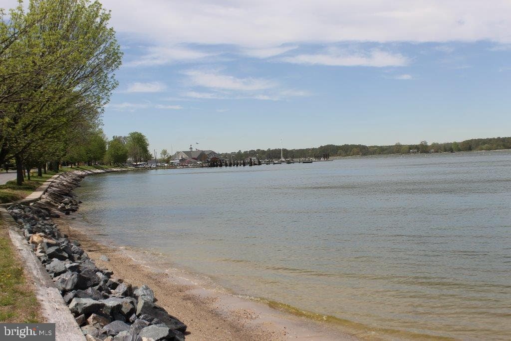 102 Jacks Point Road photo 79