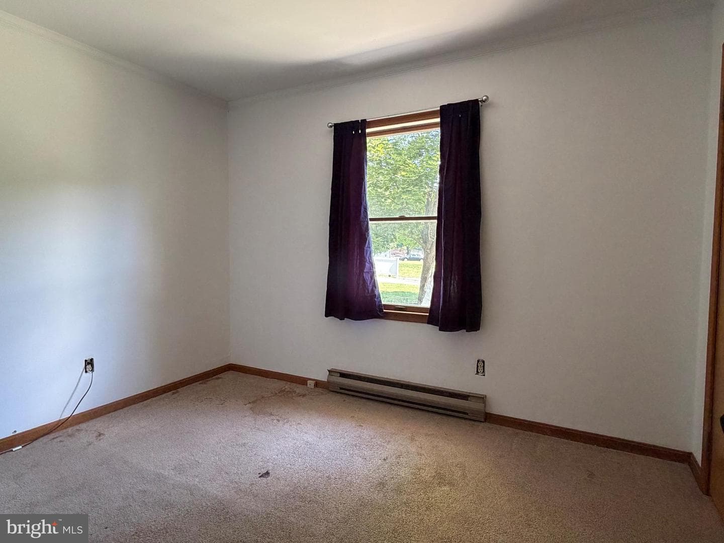 317 Choptank Avenue photo 8