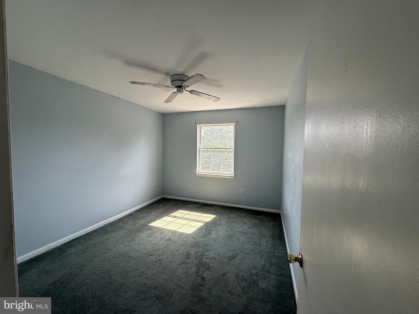 29595 Dutchmans Lane #603 photo 18