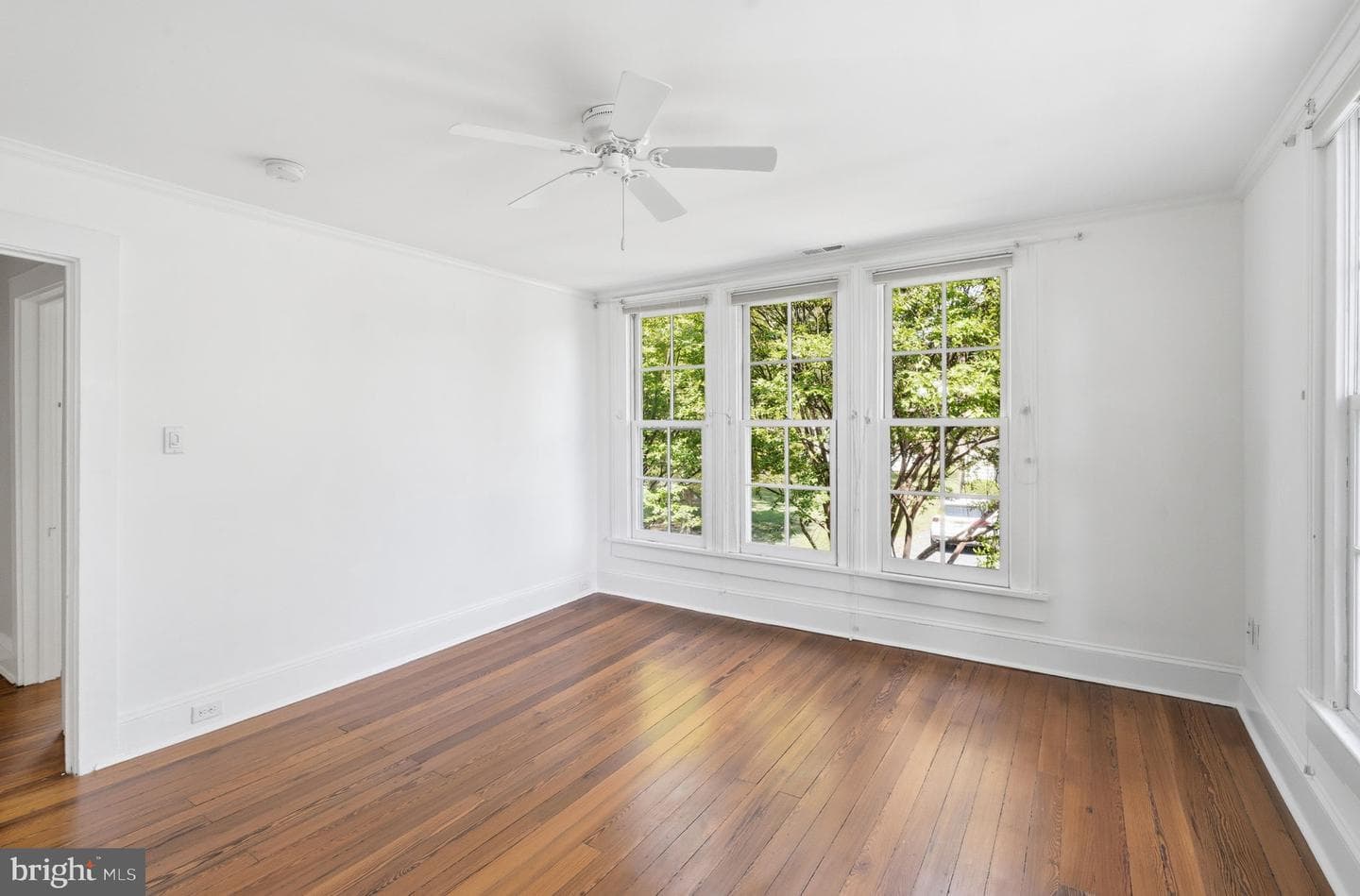 104 Myrtle Street photo 37