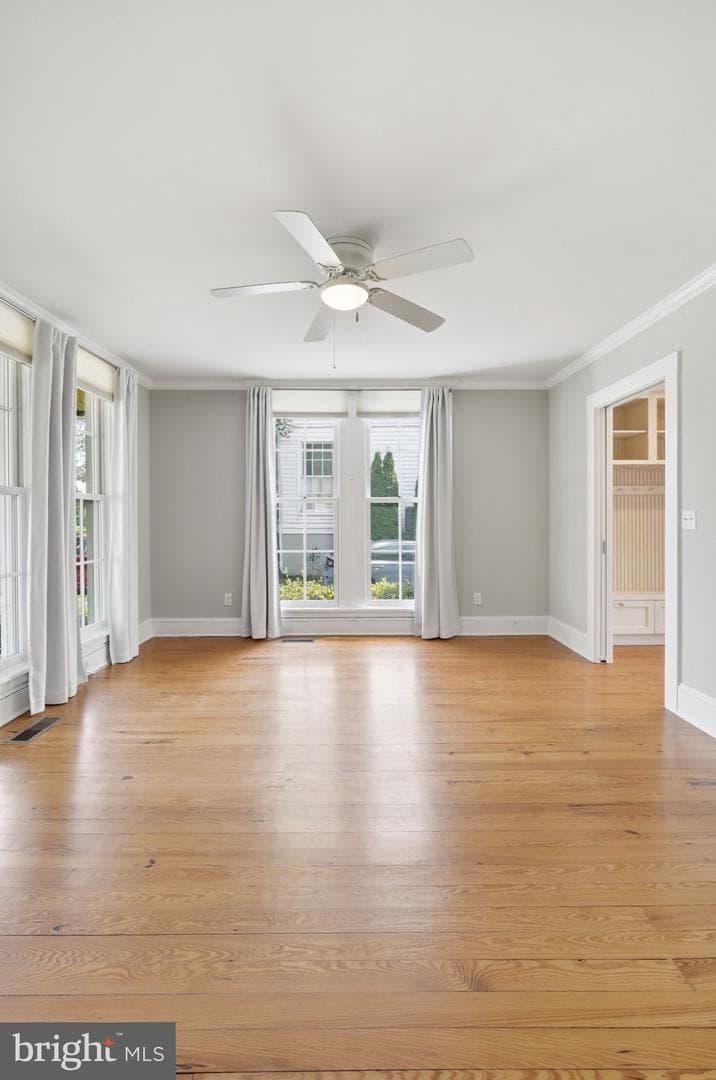 104 Myrtle Street photo 7