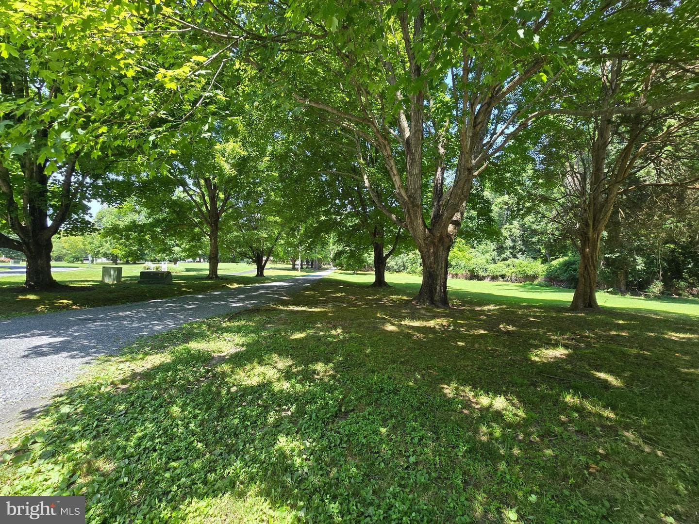 28091 Oaklands Circle photo 88