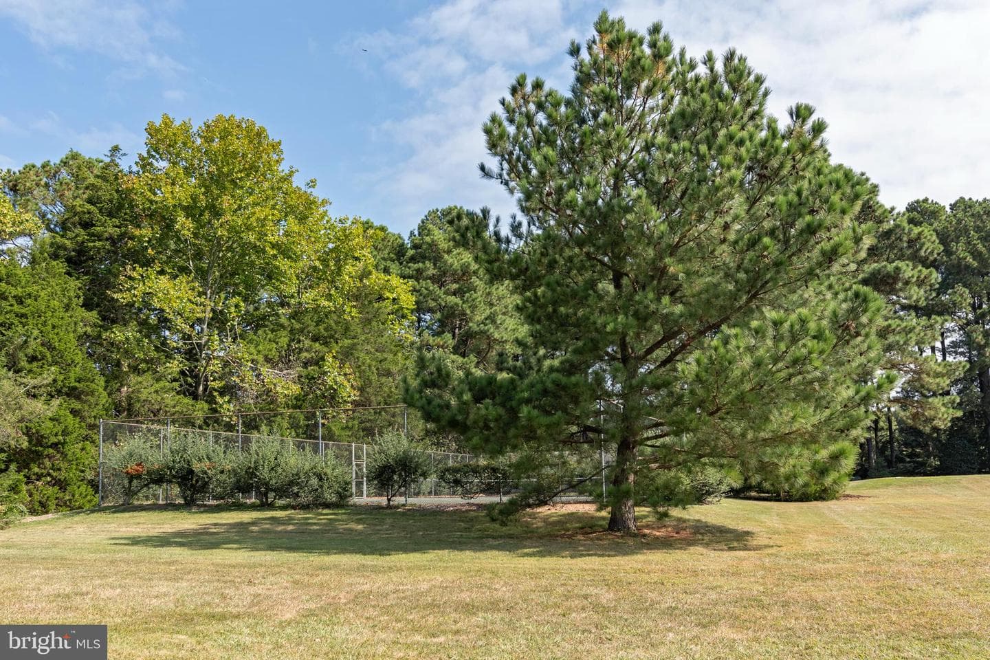 9338 Bantry Road photo 22