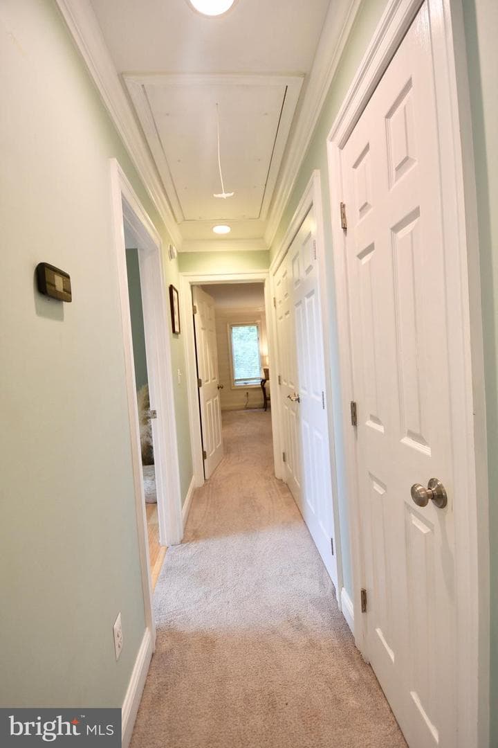 11 Londonderry Drive photo 18
