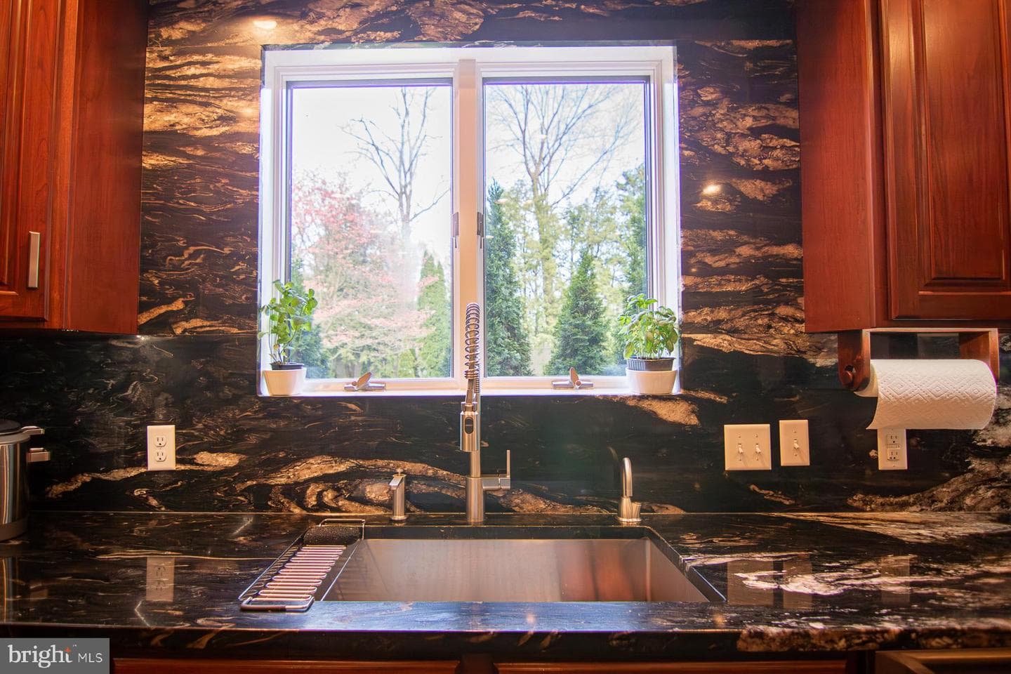 11029 Plumwood Cir photo 37