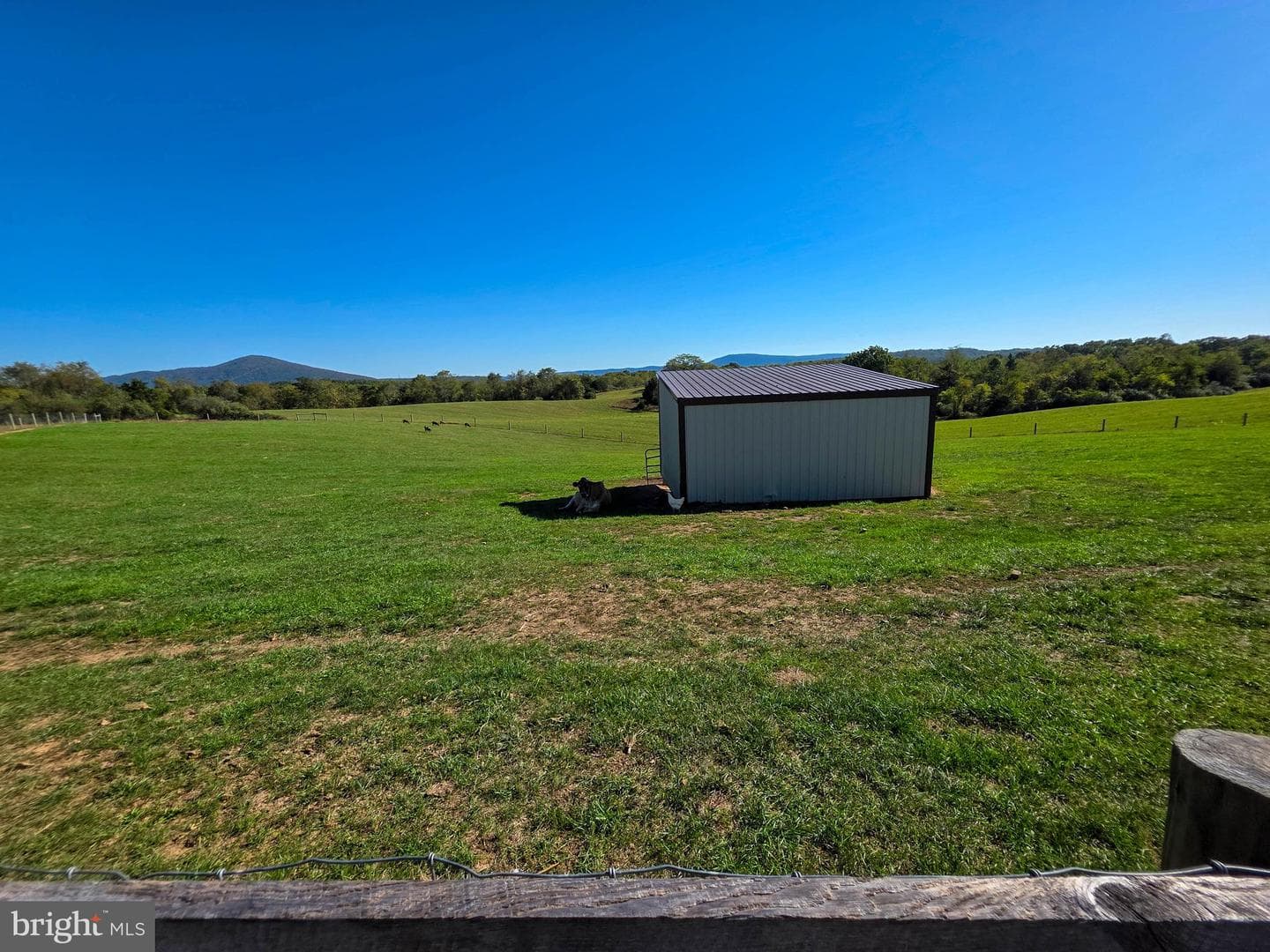 14637 Bain Road photo 58