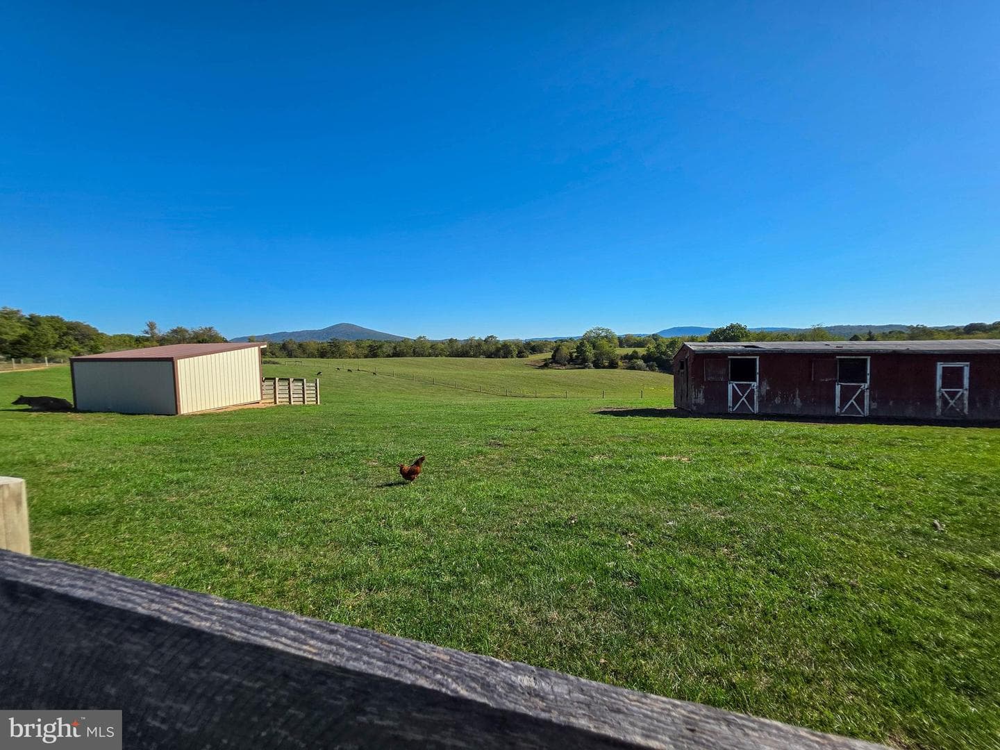 14637 Bain Road photo 64