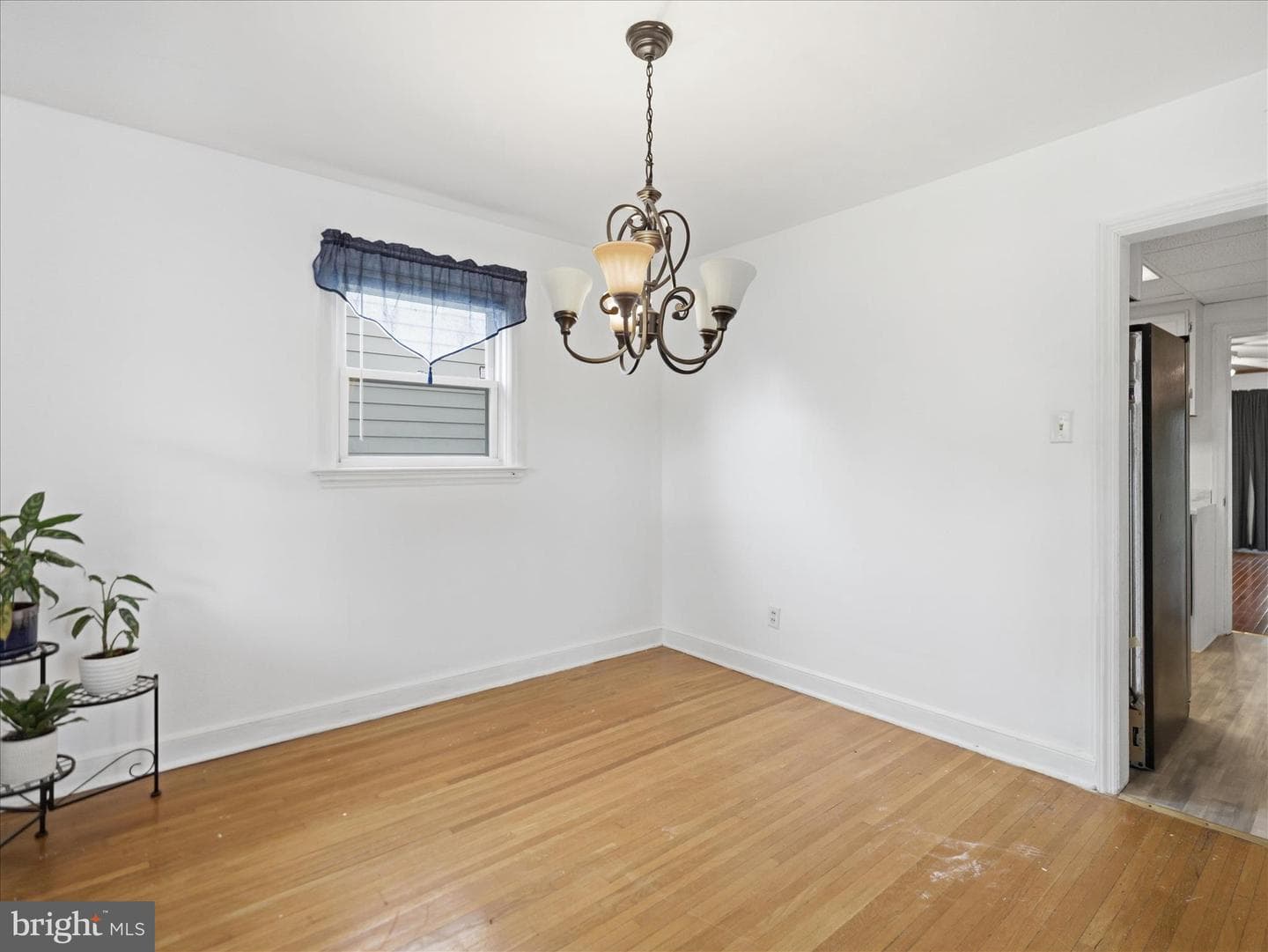 213 Belview Avenue photo 15