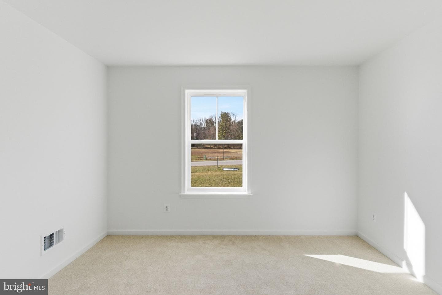 13352 Snapdragon Way photo 21