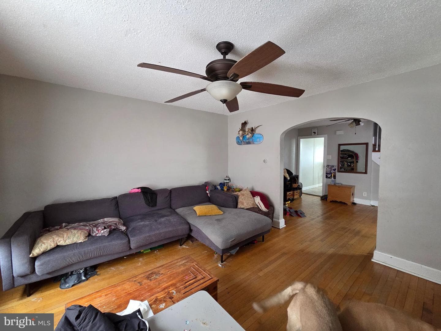 445 E Franklin Street photo 9