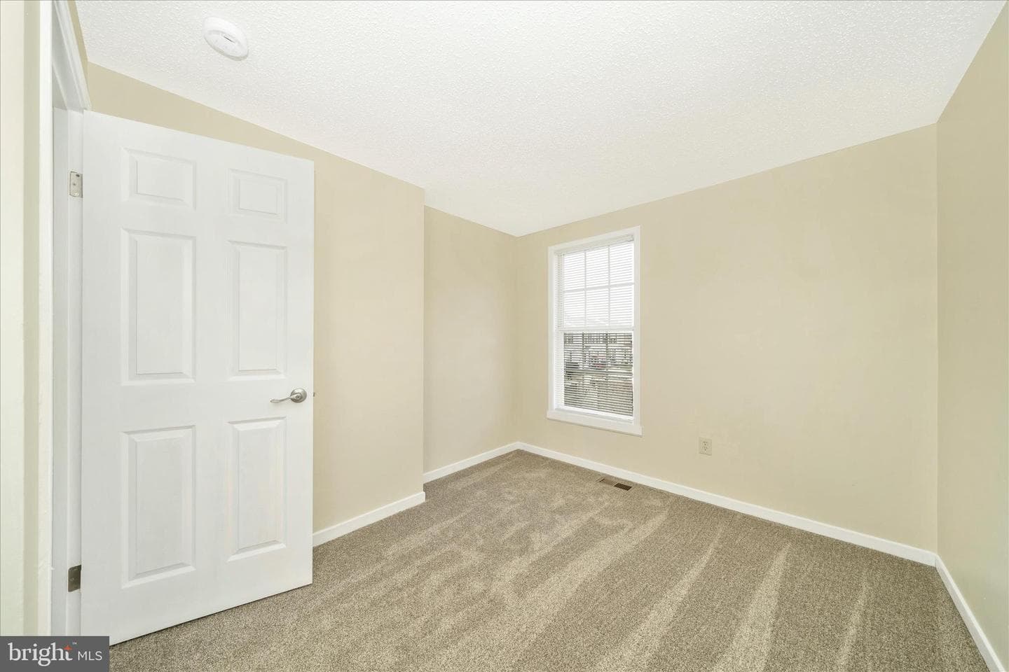 111 Tulip Court photo 20