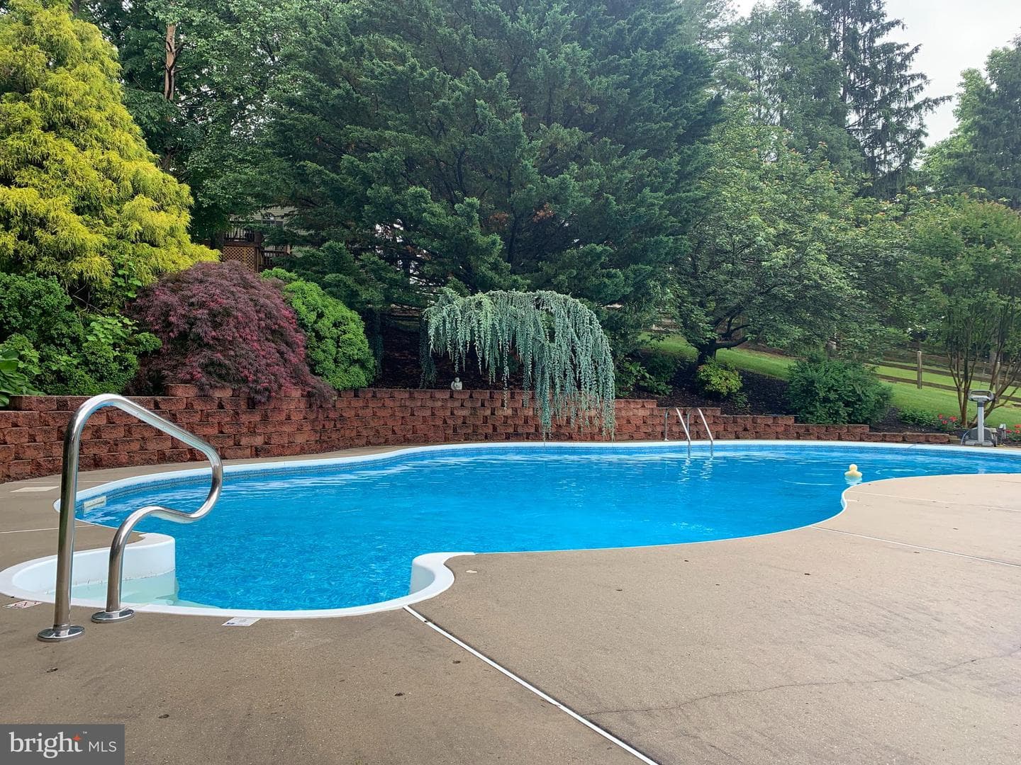 11025 Eastwood Drive photo 49