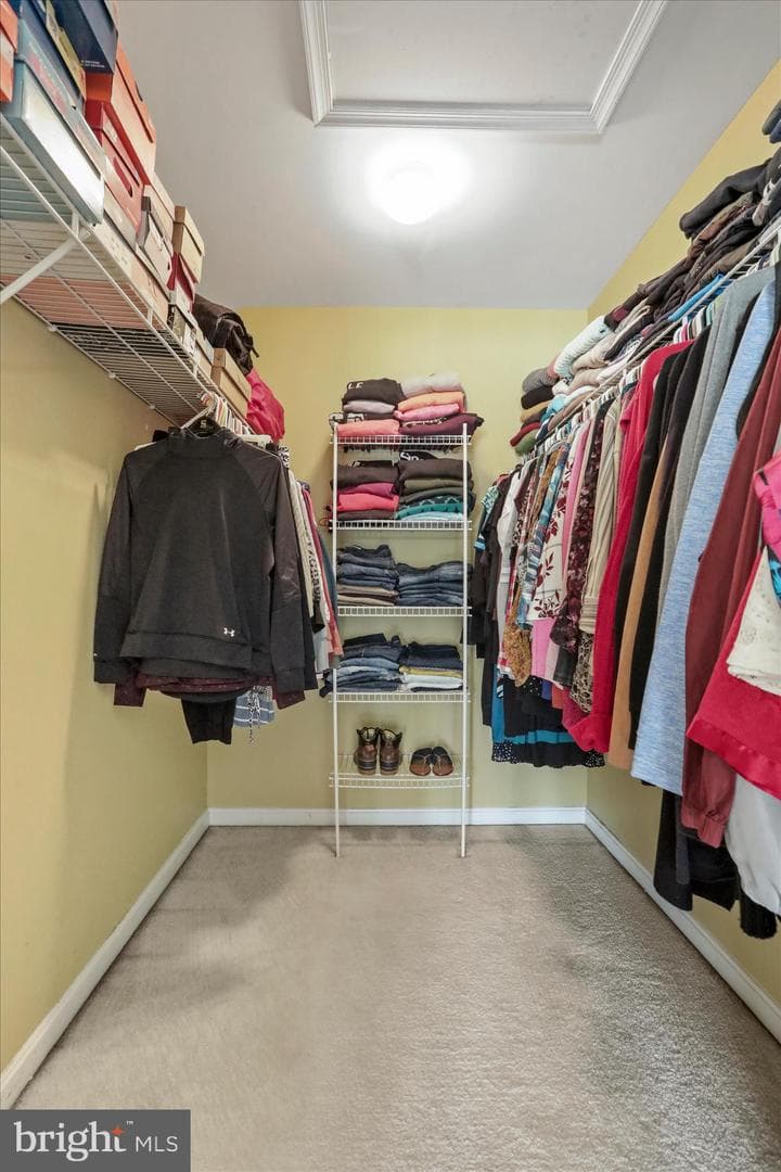125 Brynwood Street photo 32
