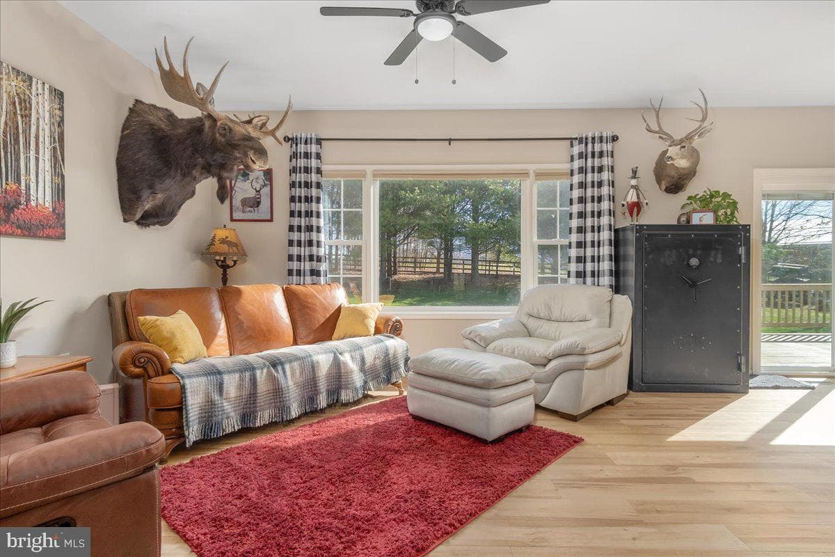 20376 Splendor View Terrace photo 16