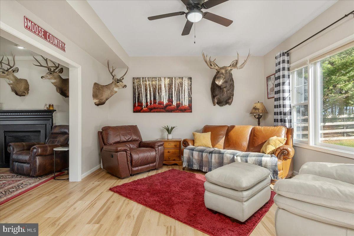 20376 Splendor View Terrace photo 18