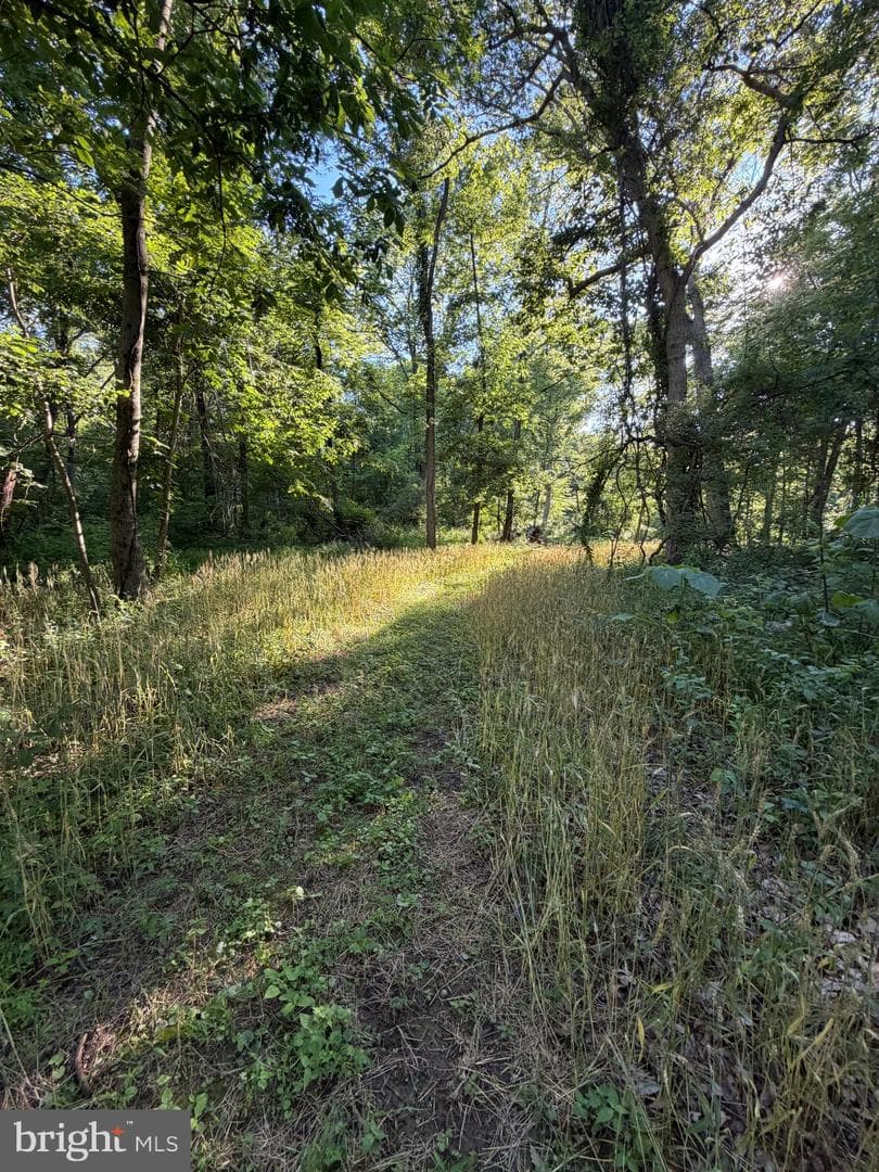 16621 Lappans Rd photo 82