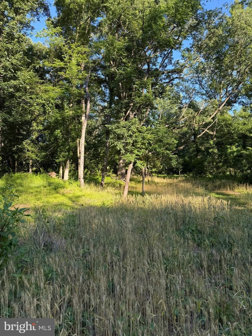16621 Lappans Rd photo 84