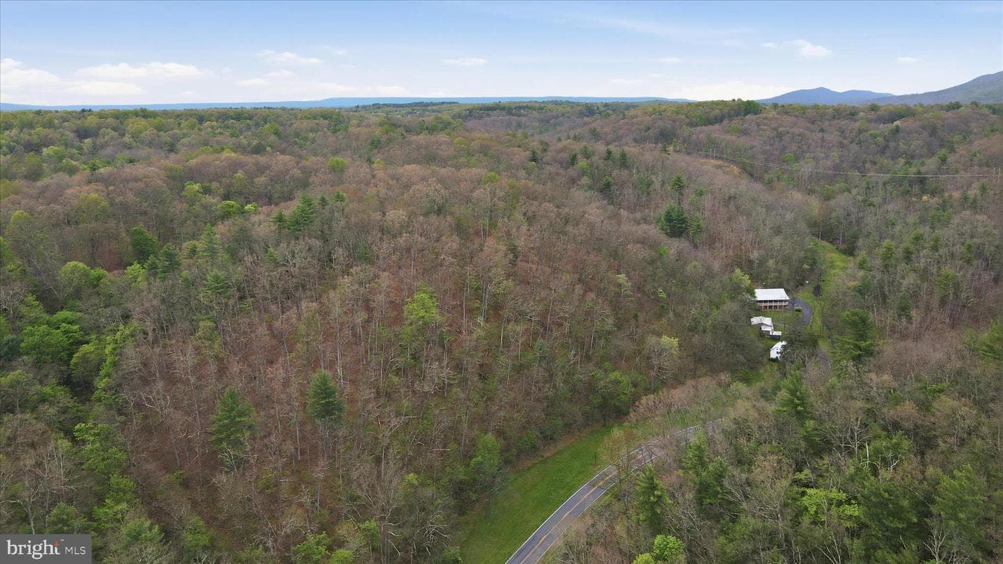 13834 Hollow Road photo 42