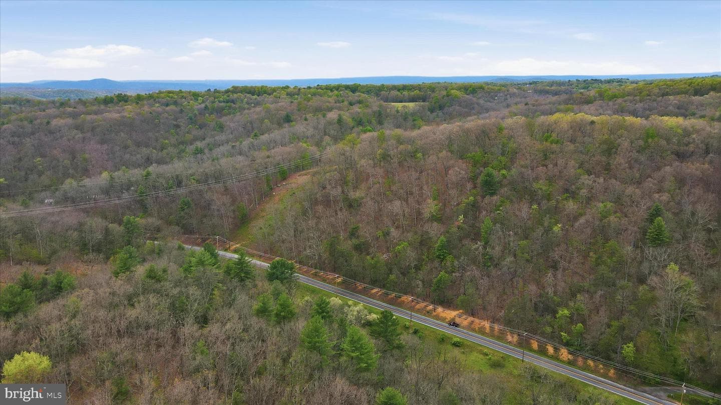 13834 Hollow Road photo 46