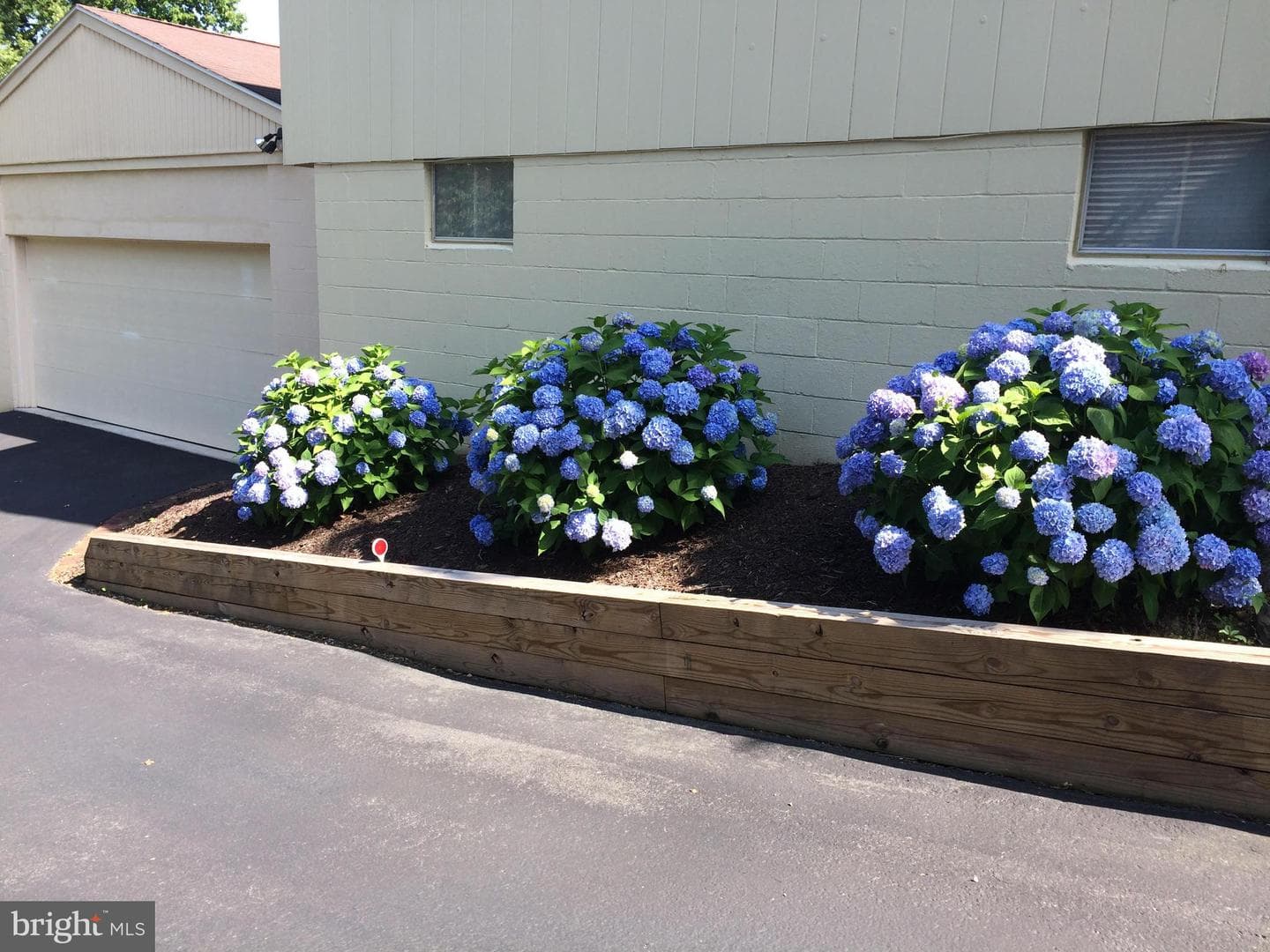 13315 Apple Hill Drive photo 4