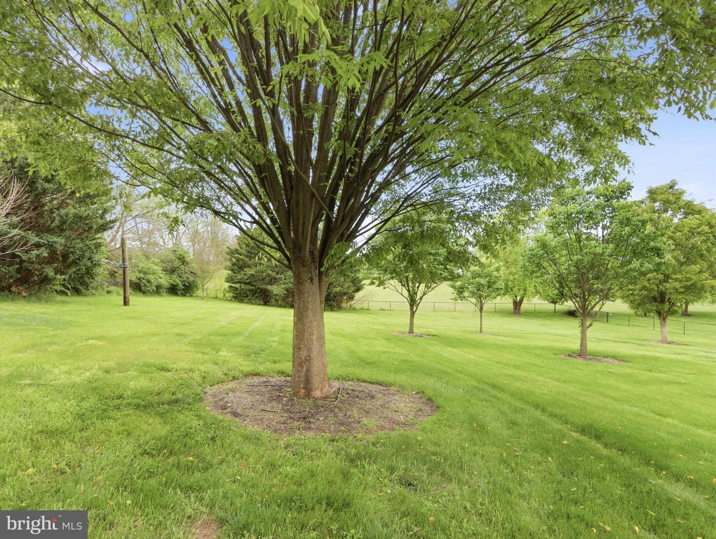17123 Bivens Lane photo 75