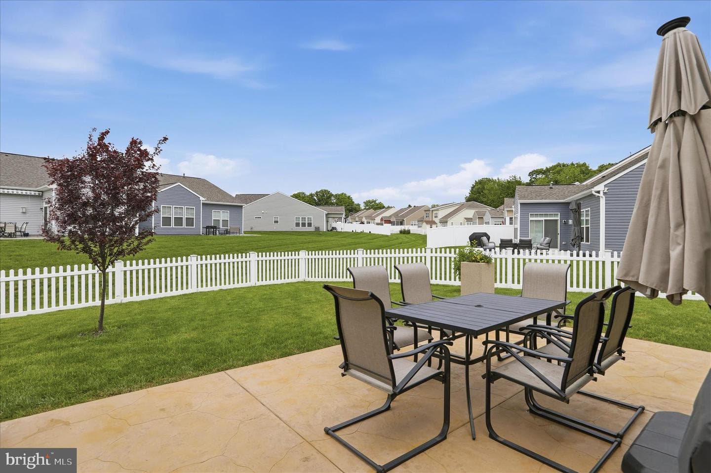 19536 Cosmos Street photo 29
