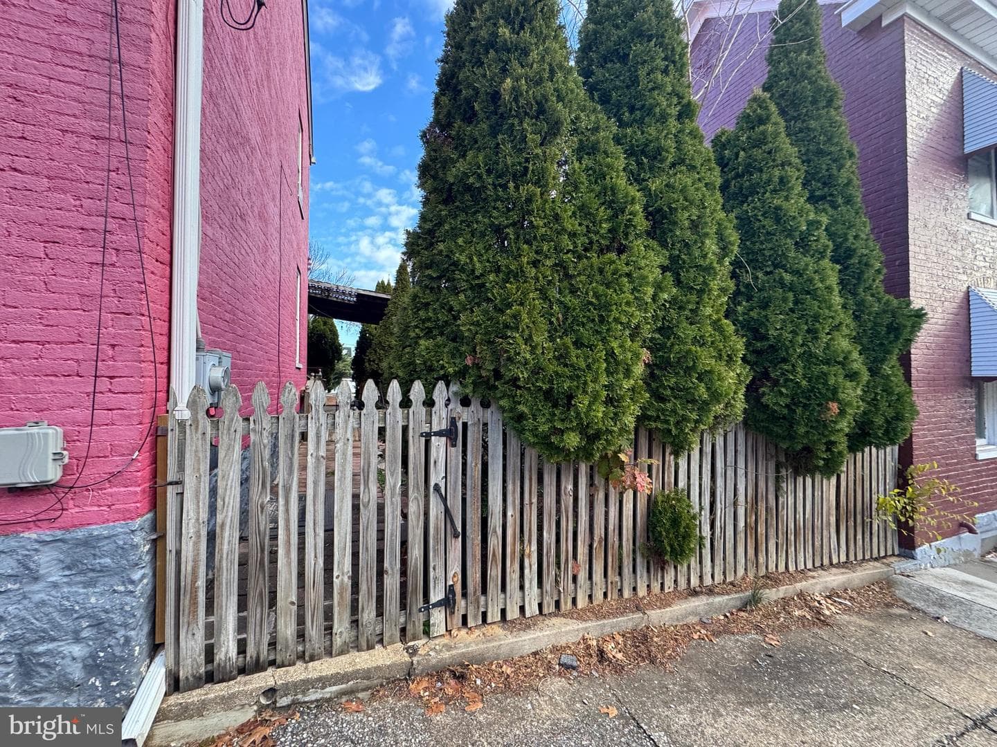 54 Randolph Avenue photo 30