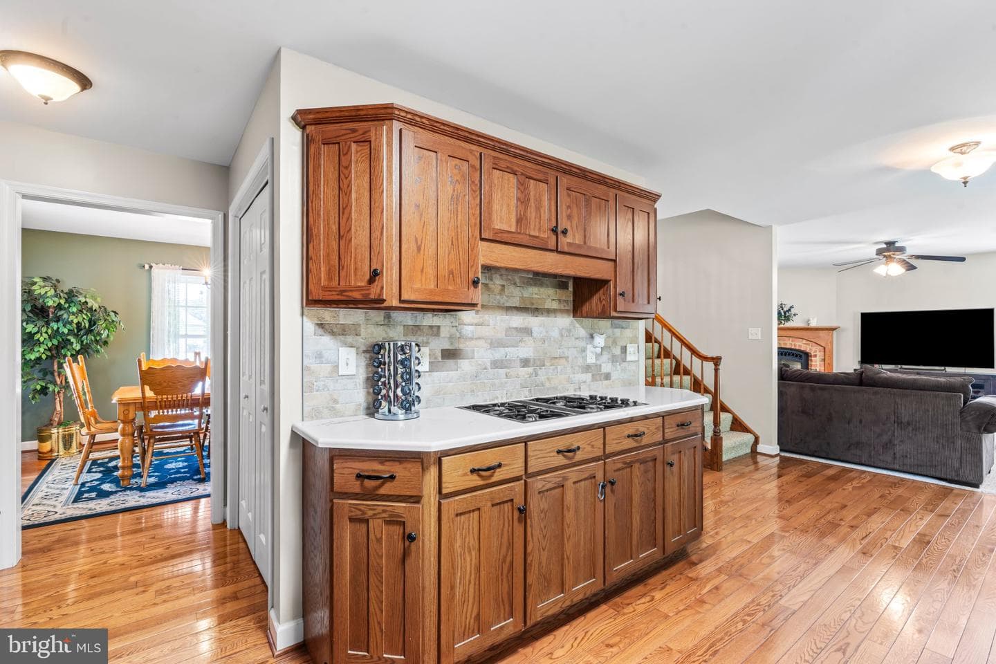 13608 Rock Maple Court photo 18