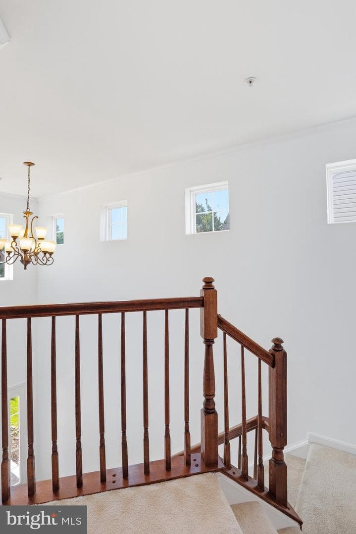 165 Brynwood Street photo 31