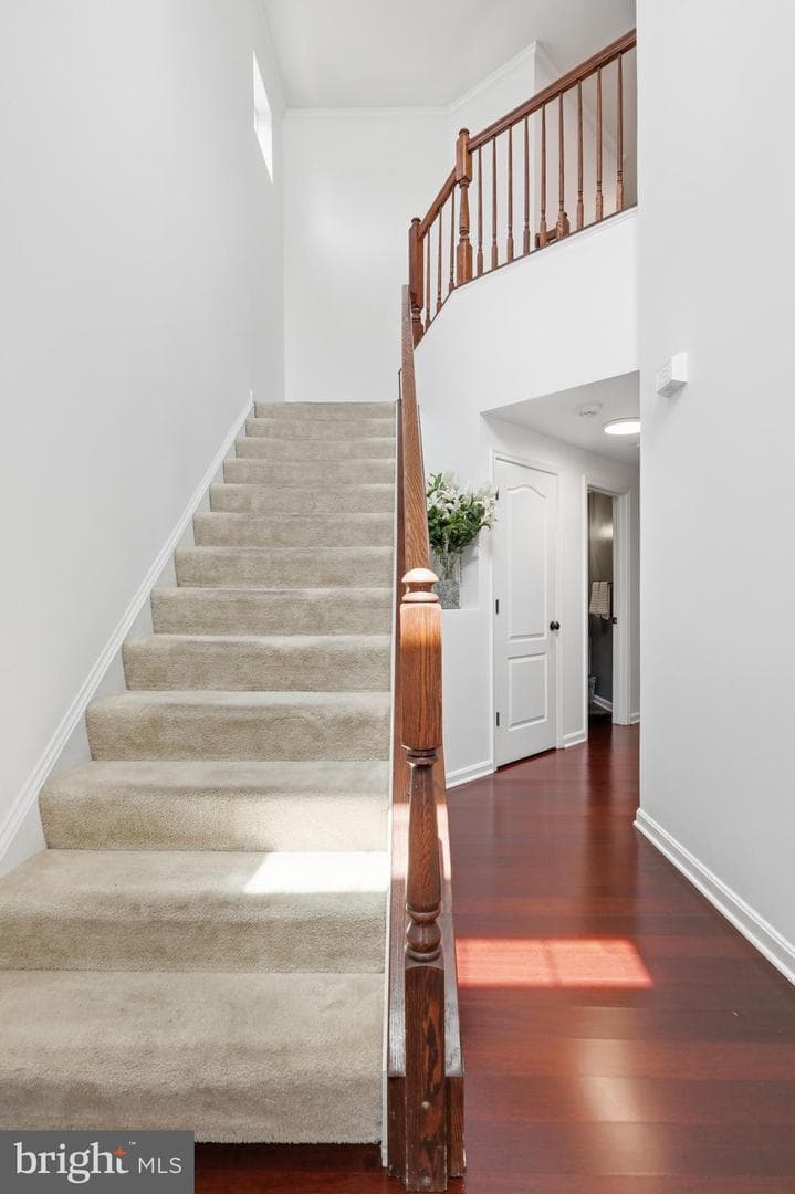 165 Brynwood Street photo 7