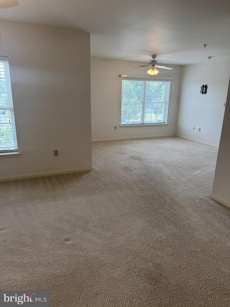 1103 S Schumaker Drive #c-300 photo 6