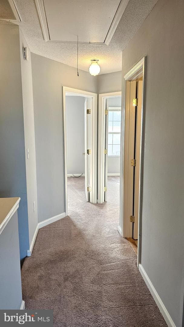 1801 Woodbrooke Drive #1801 photo 25