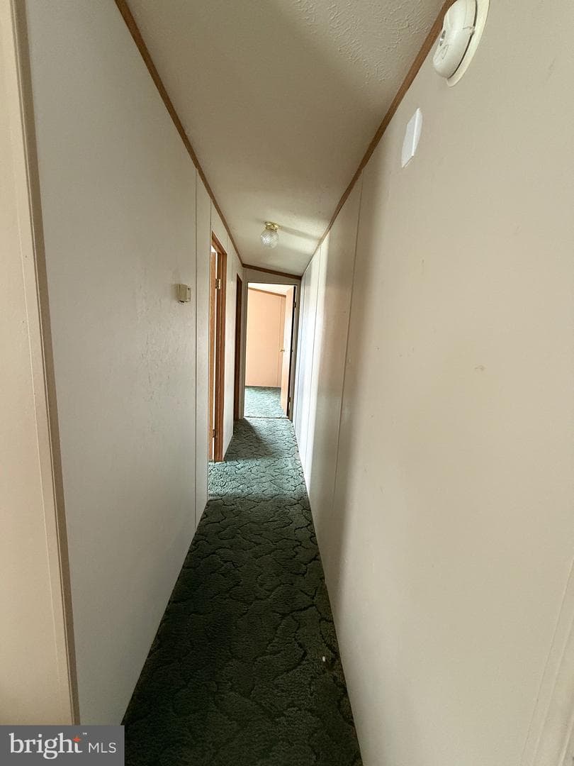 9241 Clare Circle photo 23