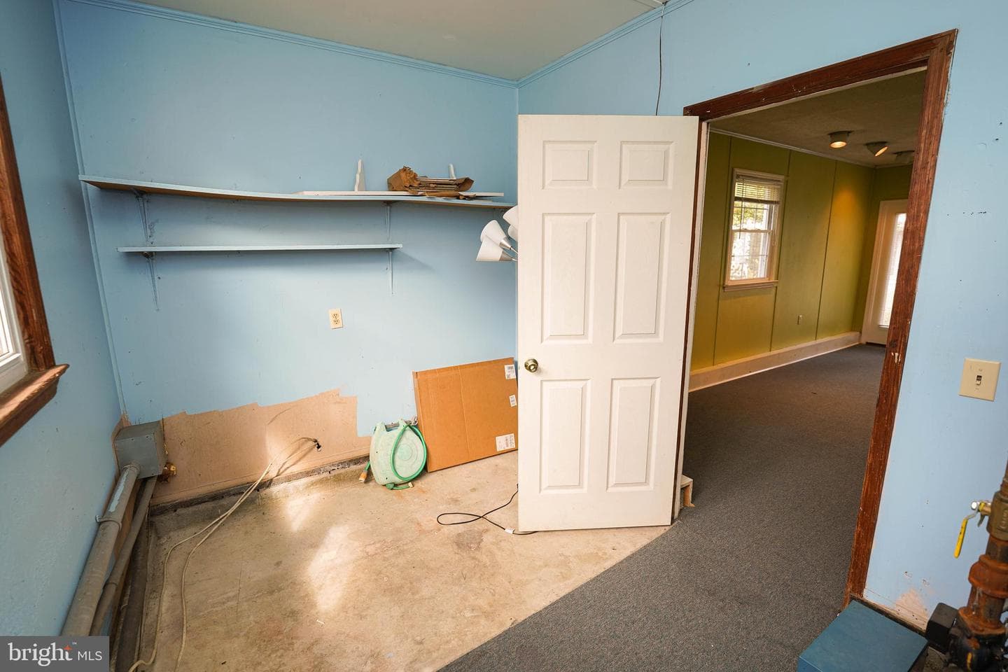 707 Camellia Road photo 29