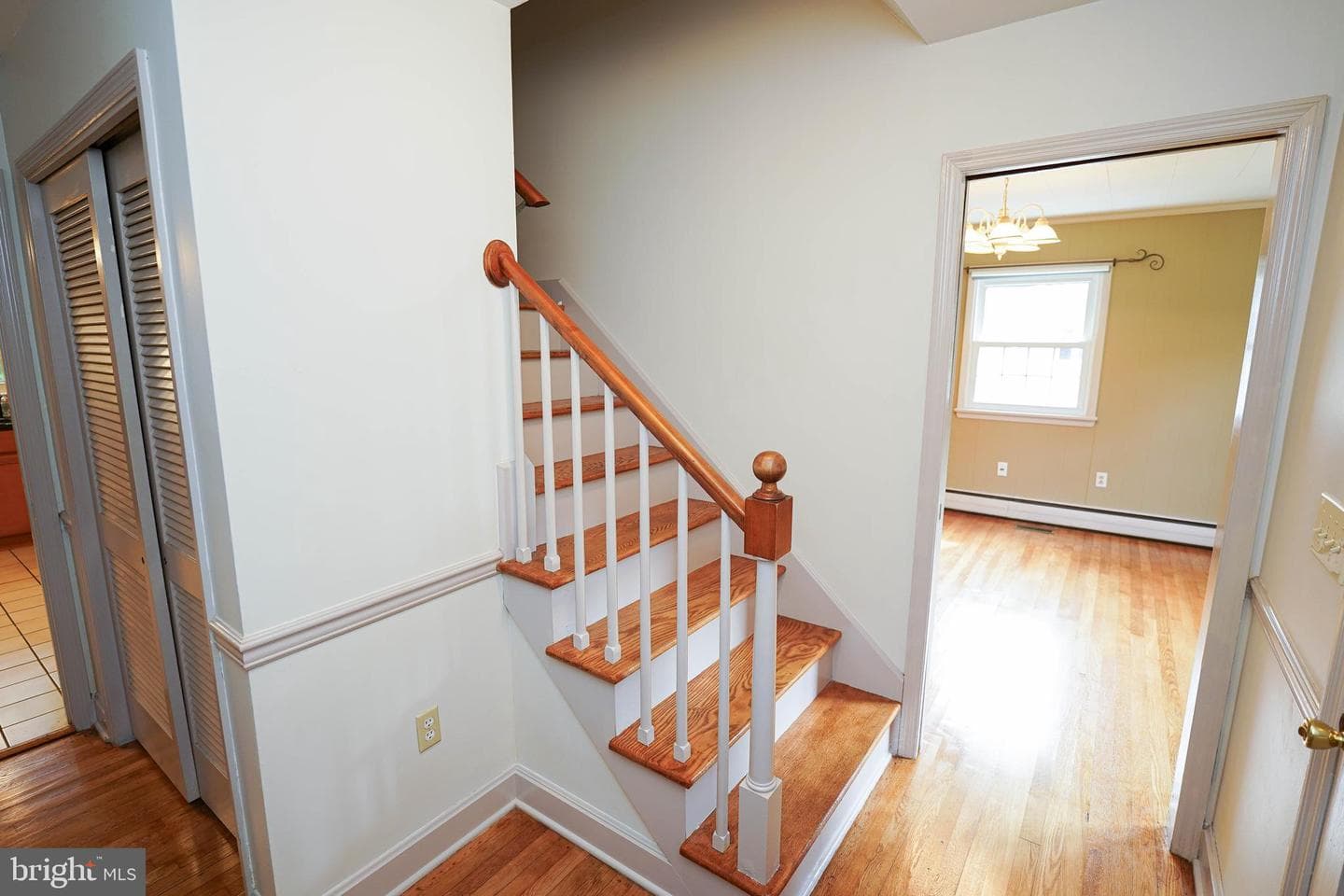 707 Camellia Road photo 30