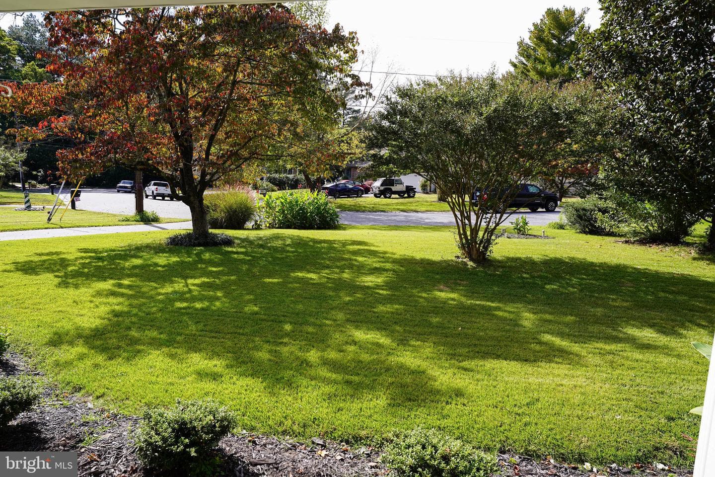 707 Camellia Road photo 61